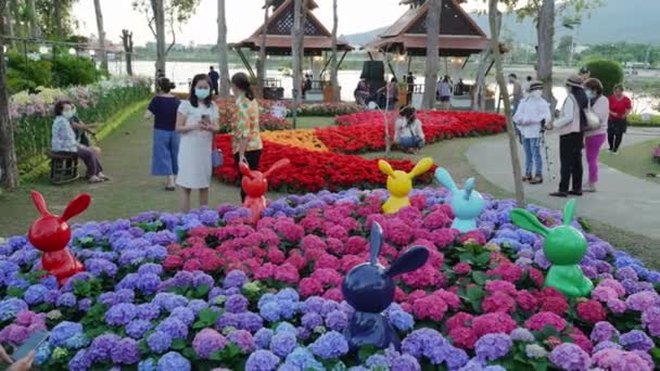 Chiang Mai Thajsko Únor 2022 Návštěvníci Vychutnat Svůj Večerní Čas — Stock video