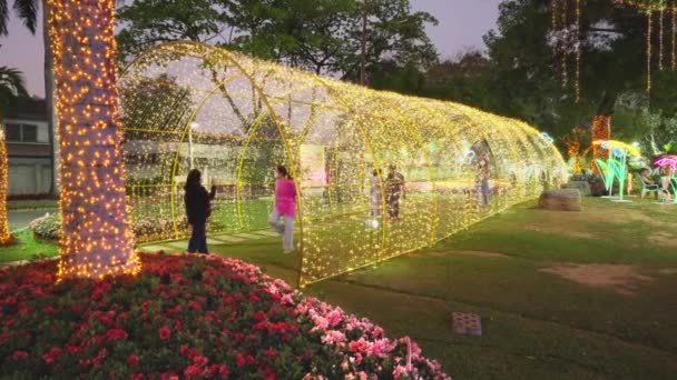 Chiang Mai Tayland Şubat 2022 Suan Buak Renkli Çiçeklerle Birlikte — Stok video