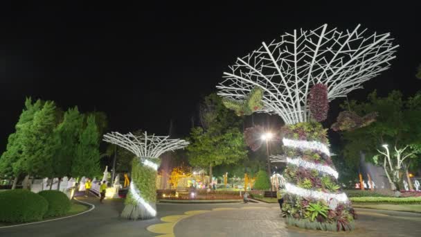 2022年2月14日 泰国清迈 二月初 美丽的夜光装饰和五彩缤纷的花朵在泰国清迈的一个公园展出 — 图库视频影像