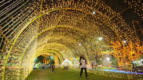 2022年2月14日 泰国清迈 二月初 美丽的夜光装饰和五彩缤纷的花朵在泰国清迈的一个公园展出 — 图库视频影像