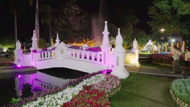 Chiang Mai Thailand February 2022 Beautiful Night Light Decoration Display — Stock Video