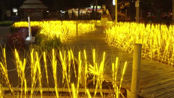 Chiang Mai Thaïlande Février 2022 Belle Décoration Lumière Nocturne Est — Video