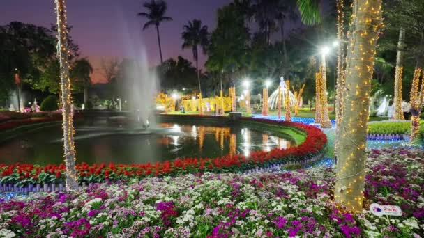 Chiang Mai Thailandia Febbraio 2022 Bella Decorazione Notturna Della Luce — Video Stock