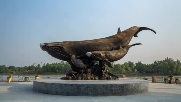 Morning Time Lapse Whale Sculptures Wearing Masks Surat Thani Thailand — 비디오