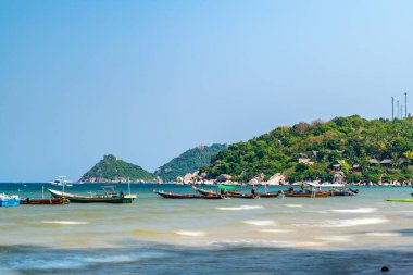 Surat Thani, Tayland - 15 Nisan 2022 - Tayland 'ın Surat Thani kentindeki ünlü Sairee plajında yolcu bekleyen uzun kuyruklu botlar