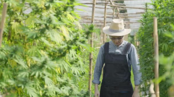 Femme Entrepreneur Asiatique Fermier Intelligent Prêt Commencer Matinée Vérifier Sur — Video