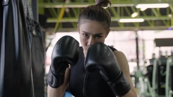 Jovem Atraente Mulher Asiática Ativa Praticando Treinando Seu Chute Boxe — Vídeo de Stock