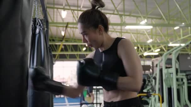 Νεαρή Ελκυστική Ενεργή Ασιάτισσα Που Ασκεί Και Εκπαιδεύει Kick Boxing — Αρχείο Βίντεο