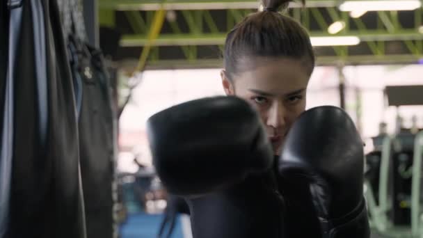 Joven Atractiva Mujer Asiática Activa Practicando Entrenando Kick Boxing Gimnasio — Vídeos de Stock