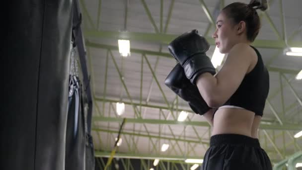 Joven Atractiva Mujer Asiática Activa Practicando Entrenando Kick Boxing Gimnasio — Vídeos de Stock