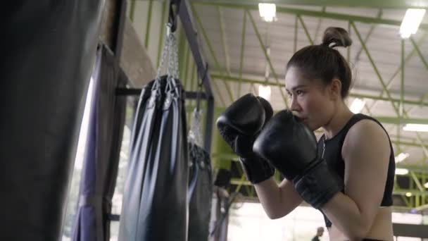 Jeune Femme Asiatique Active Attrayante Pratiquant Entraînant Son Kick Boxing — Video