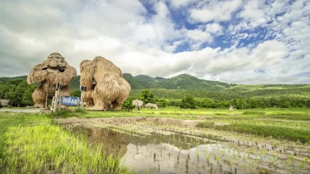 泰国清迈2022年6月27日 在泰国清迈淮东涛公园 人类身后天空中移动的云彩形成了稻草大猩猩雕像 — 图库视频影像