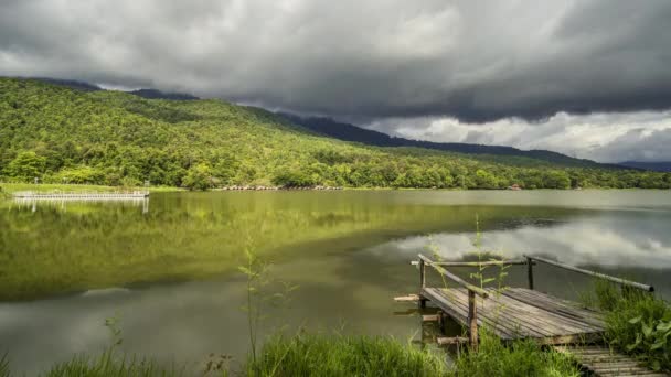 Tayland Chiang Mai Deki Huay Tung Tao Gölü Nde Yoğun — Stok video