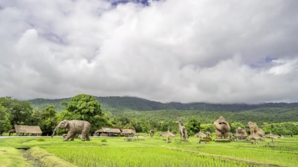 Chiang Mai Thailanda Iulie 2022 Vedere Timp Animalelor Paie Câmpului — Videoclip de stoc