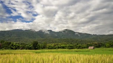 Tayland 'ın Chiang Mai kentindeki Huay Thung Tao parkındaki dağların ve çeltik tarlalarının üzerinden sabah erken saatlerde yağmur mevsimi boyunca hareket eden bulutlar.
