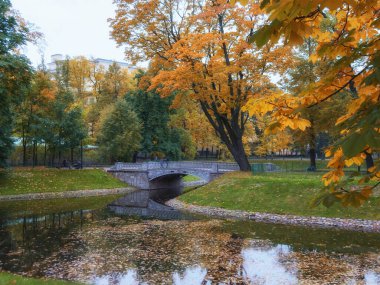 Mikhailovsky Bahçesi, St. Petersburg 'daki en ünlü ve peyzajlı parklardan biri. Sonbahar manzarası