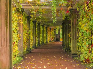 Puşkin, Rusya - 25 Eylül 2021: Catherine Park Sonbahar manzarası