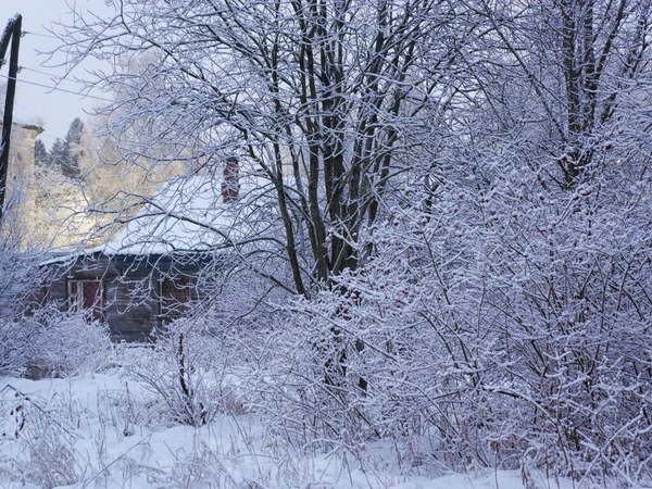 Delicate Beautiful Winter Landscape Hut Trees Frozen Grass Snow Cold — Fotografia de Stock