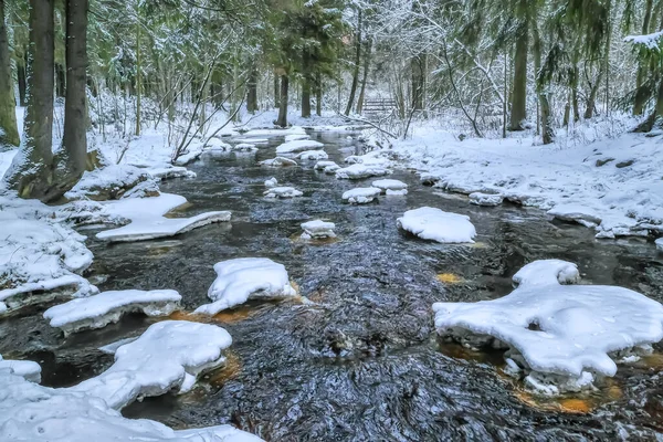 River Trees Frozen Grass Snow Cold Winter Season Delicate Beautiful — Stockfoto