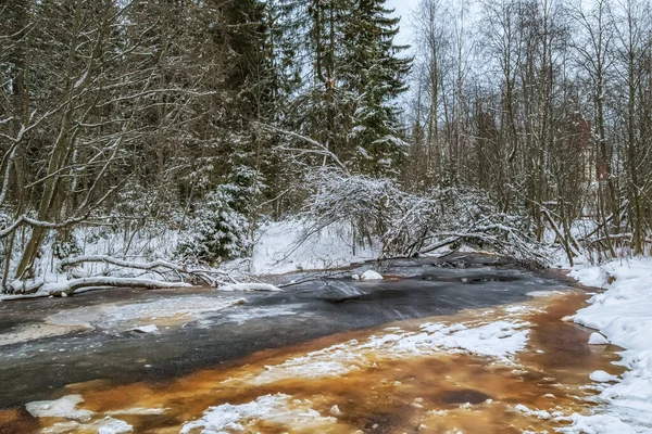 River Snowy Forest Cold Winter Season Winter Landscape — Stockfoto