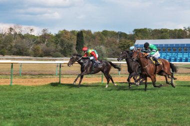 Magdeburg, Almanya - 10 Eylül 2022: Grup yarışları. Yarışta dörtnala koşan atlar. Dörtnala koşanlar ve koşucular