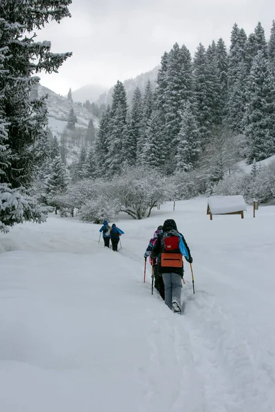 Neve Fresca Nella Foresta Montagna Una Mattina Inverno — Foto Stock