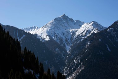 Kuzey Tien Shan dağlarının karlı zirveleri.