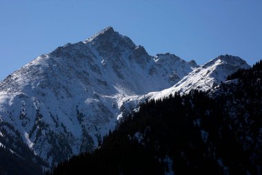 Kuzey Tien Shan dağlarının karlı zirveleri.