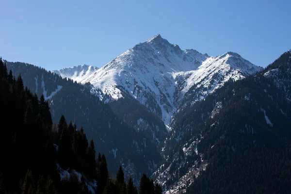 stock image Snowy peaks of the Northern Tien Shan mountains.