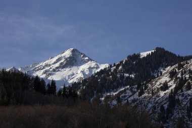 Kuzey Tien Shan dağlarının karlı zirveleri.