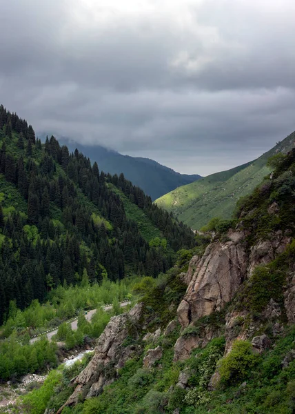 Yazın bir dağ ormanında nehir manzarası.