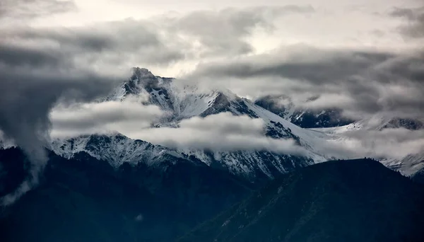 夏日的早晨 山中有云的风景 — 图库照片