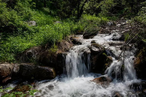 Речной Поток Чистой Воды Горном Лесу — стоковое фото