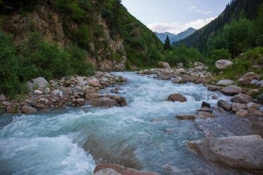 Bir dağ ormanında bir nehir ile Yaz manzara.