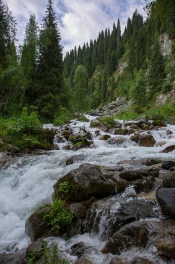 Bir dağ ormanında bir nehir ile Yaz manzara.