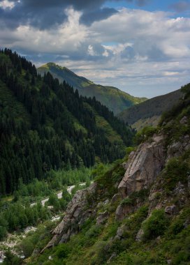Bir yaz günü dağlarda manzara..
