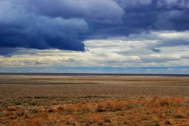 Landscape in the steppe of South Kazakhstan.