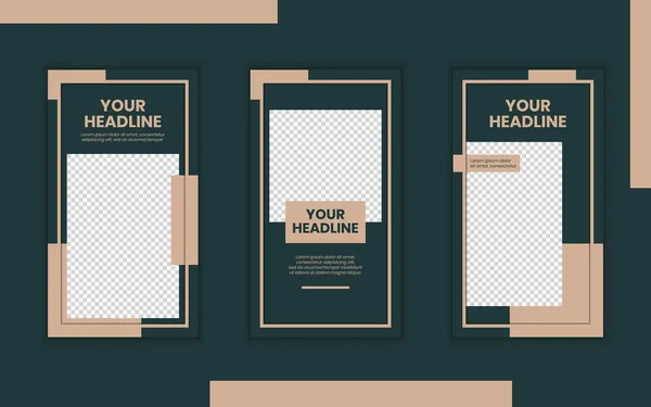 Slides Editable Elegant Social Media Dark Green Gold Stories Template — Stockvektor