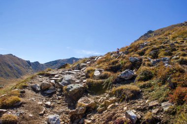 Austian Alplerindeki manzara - Steiermark, Avusturya