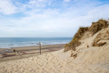 Hollanda 'daki kum tepeleri, Haamstede, Zeeland.
