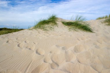 Hollanda 'daki kum tepeleri, Haamstede, Zeeland.