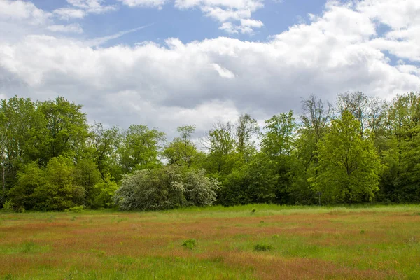 Landschapslandschap Duitsland Nederrijn Duitsland — Stockfoto