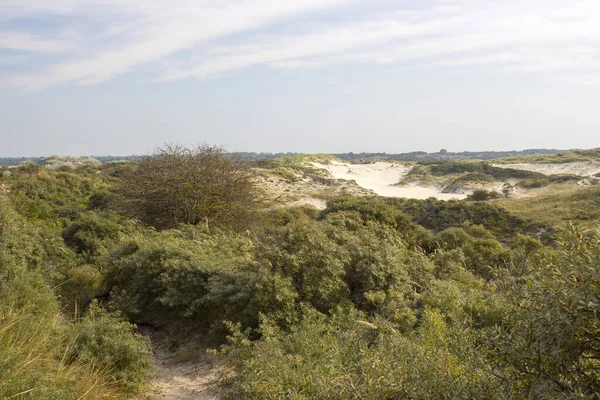 Het Duinlandschap Haamstede Zeeland — Stockfoto