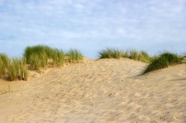 Kum tepeleri, Renesse, Zeeland, Hollanda