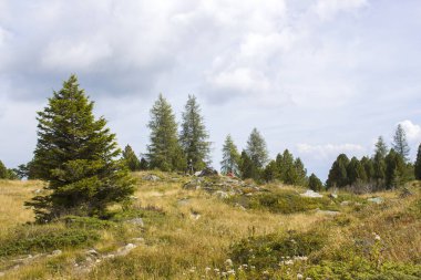 Austian Alps, Steiermark, Avusturya 'da manzara