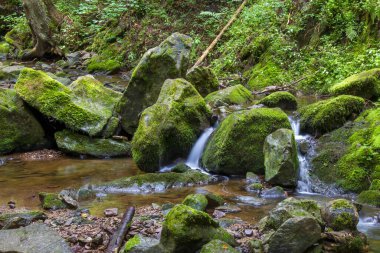 Lotenbach Gorge Blach Forest, Almanya için