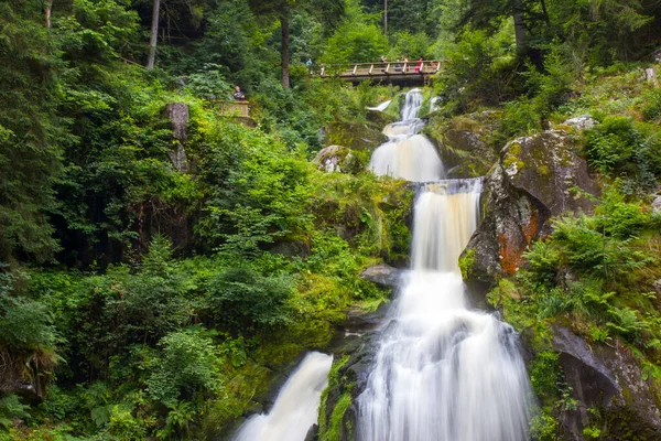 Triberg Falls Una Las Cataratas Más Altas Alemania Región Selva — Foto de Stock