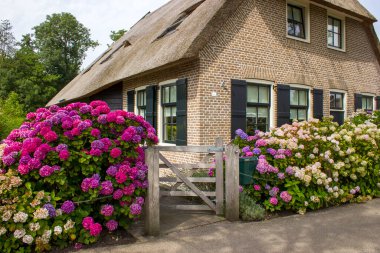 GIETHOORN, NETHERLANDS - evlerin ve bahçelerin tipik Hollanda ilçesi