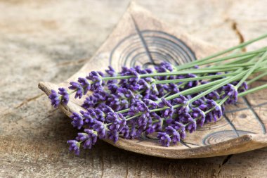 Kil tabakta bir demet lavanta çiçeği