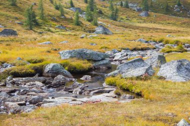 Avusturya Alpleri, Steiermark, Avusturya 'daki yeşil çayırlar üzerinde berrak bir dağ deresi